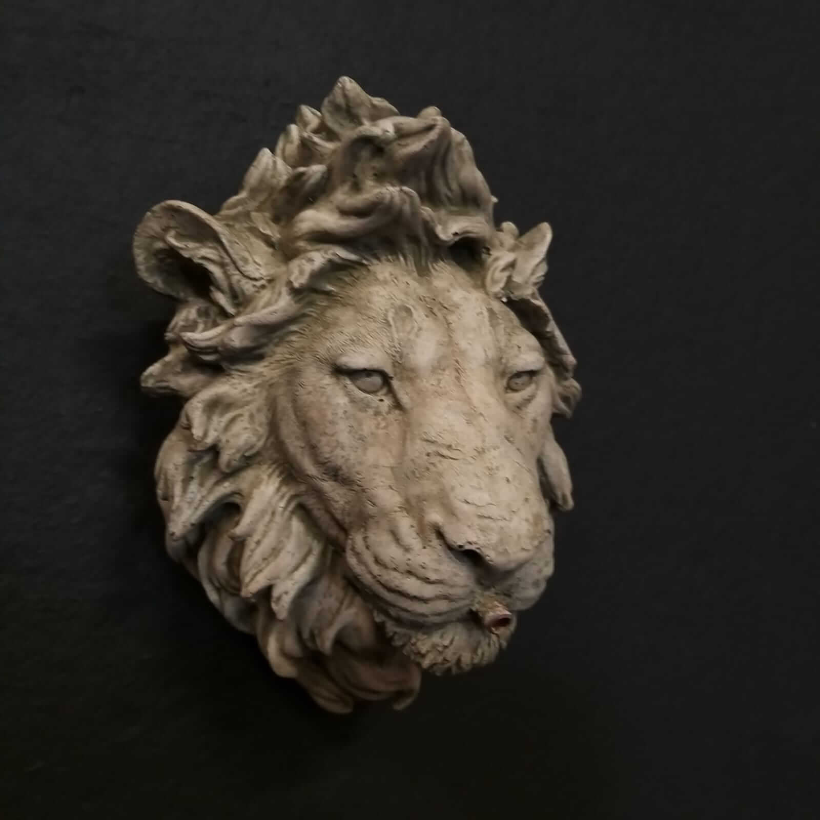 Lion_wall_plaque_fountain_mask__1597925756_751